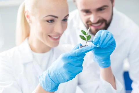 Delighted nice bio scientists looking at the sprout Stock Photos