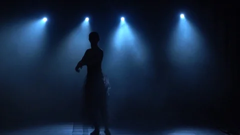 Delightful ballerina in tutu dancing classical ballet elements. Slow motion. Stock Footage 119227298