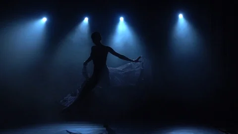 Delightful ballerina in tutu dancing classical ballet elements. Slow motion. Stock Footage 119227938