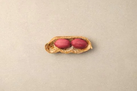 Delightful peanut nestled in its shell on a smooth surface Foto stock