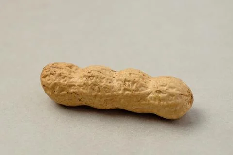 Delightful peanut resting on a smooth surface in soft natural light Stock-Fotos