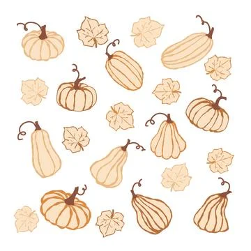 A delightful pumpkin pattern featuring various pumpkin types and autumn leaves Stock Illustration