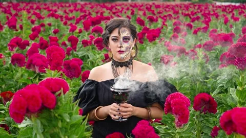 Delightfully elegant Catrina burning Incense in a Cockscomb Field Stock Footage 253281340