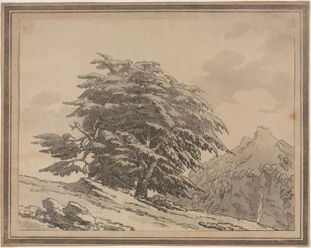 Delineations of the General Character Ramifications and Foliage of Forest T.. Stock Illustration