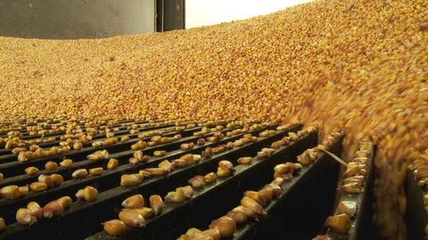 Delivery to corn silo Stock Footage 75663490