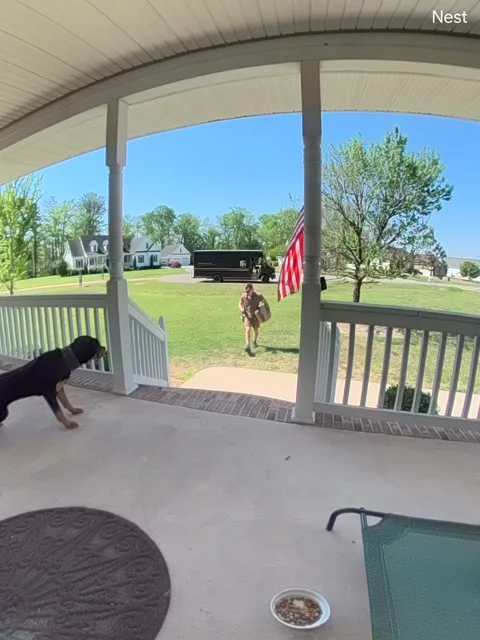 Delivery Driver Greeted By Friendly Dog, Elizabeth City, North Carolina, USA - 1 Stock Footage 273752795