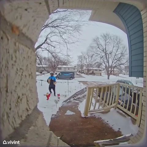Delivery Driver Haphazardly Tosses Package at Doorstep, Lincoln, Nebraska, USA - Video stock 303311727