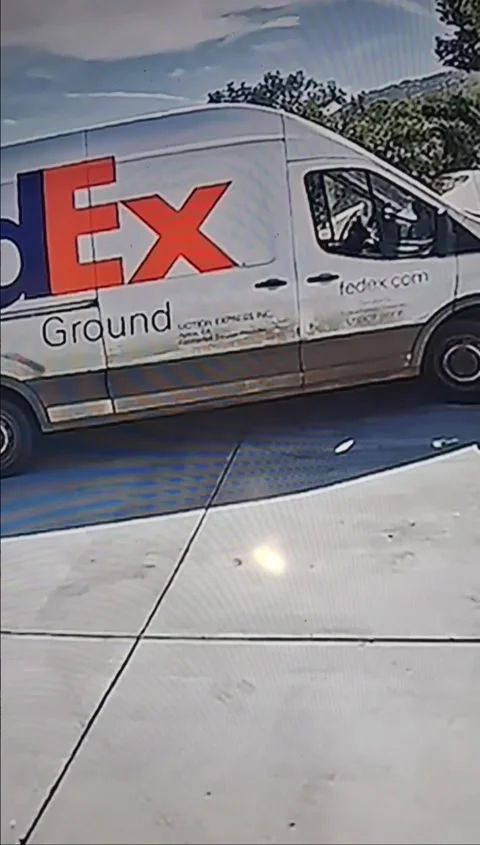 Delivery Driver Jumps Through Van Window Fleeing Dog, Memphis, Tennessee, USA -  Stock Footage 281174004
