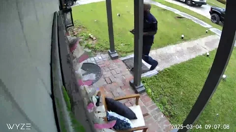 Delivery Driver Startled by Pocket Bully, New Orleans, Louisiana, USA - 19 Mar 2 Stock Footage 327235584