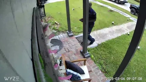 Delivery Driver Startled by Pocket Bully, New Orleans, Louisiana, USA - 19 Mar 2 Stock Footage 327239549