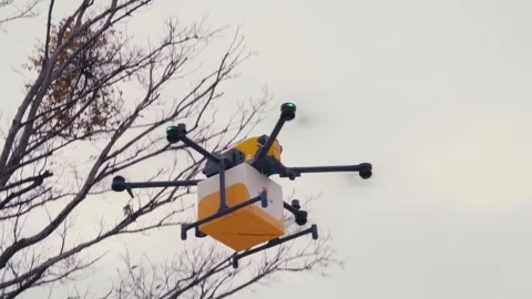 Delivery drone carrying package parcel flying near trees Stock Footage 328963293