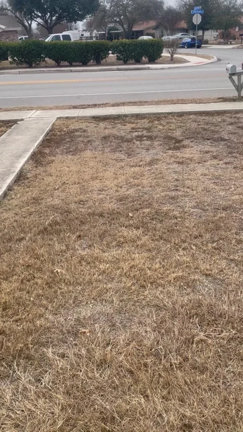 Delivery Drone Drops Package On Sidewalk, San Antonio, Texas, USA - 01 Feb 2026 Stock Footage 328252902