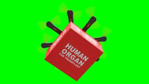 Delivery drone with portable fridge for transporting donor organs, Green Screen 스톡 동영상 129324988