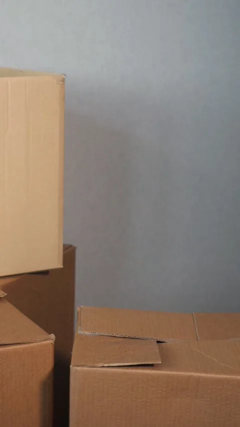 Delivery man or mover arranging and carrying cardboard boxes in a warehouse or Stock Footage 341579693