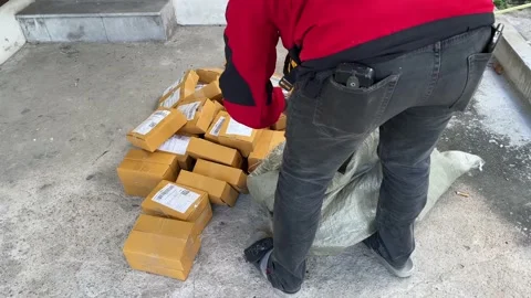 Delivery man use scanner to scan parcel code on brown box package on ground Stock Footage 225124345