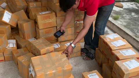 Delivery man use scanner to scan parcel code on brown box package on ground Stock Footage 225124347