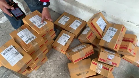 Delivery man use scanner to scan parcel code on brown box package on ground Stock Footage 225124353