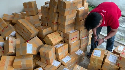 Delivery man use scanner to scan parcel code on brown box package on ground Stock Footage 225124356