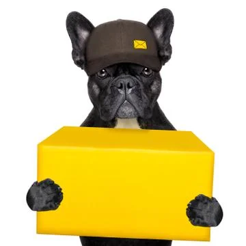 Delivery post dog Foto stock