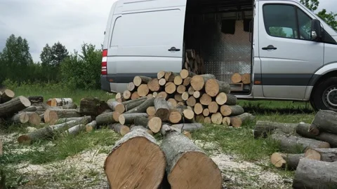 Delivery. Uploading / Unloading cargo Van near firewoods in the forest Video stock 131406676