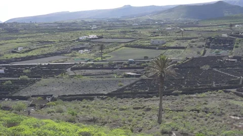 Delivery Van Driving Through Rural Volcanic Landscape Lanzarote 스톡 동영상 331655381