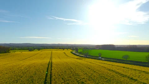 Delivery van transporting cargo along country road near yellow canola crops Stock Footage 336717921
