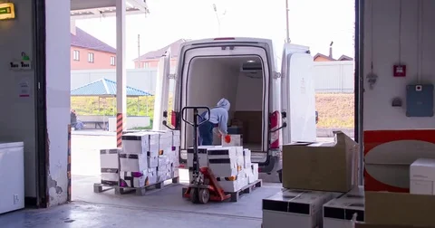 Delivery worker loading cargo van with boxes in storage warehouse 4k video Stock Footage 72219423