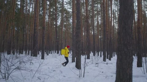 The deliveryman is running in the woods Stock Footage 236900033