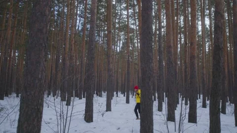 The deliveryman walks through the forest Stock Footage 236901170
