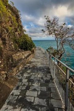 "via dell amor" of cinque terre Stock Photos