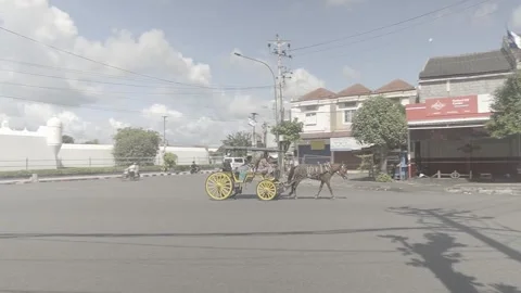 Delman Yogyakarta Vídeos de archivo 310485230