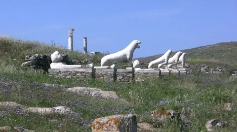 Delos lions Video stock 275842