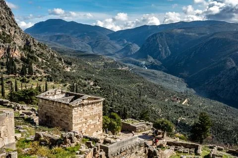 Delphi. Delfos oracle overlooking impressive olive tree valley in Greece. L.. Stock Photos