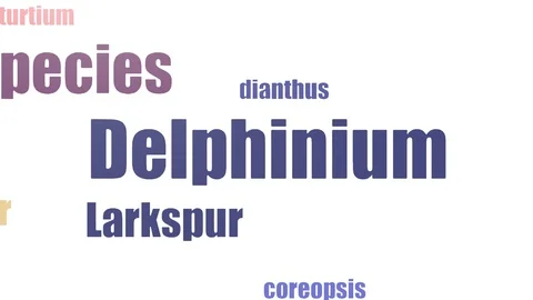 Delphinium Tag Cloud Animated Isolated On White Stock Footage 107224749