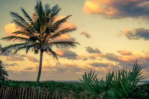 Delray Beach, Florida Stock Photos