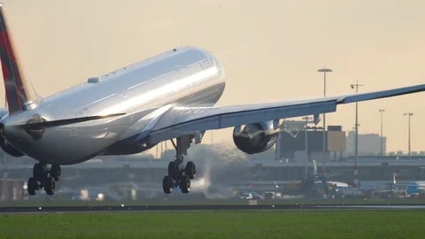 Delta Airlines Airbus 330 landing Stock Footage 81069705