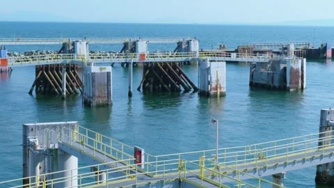 Delta, BC, Canada – June 9, 2026: Marine berthing infrastructure at port Видео 336661012