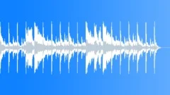 Delta Blues (Transition 2)Stock Music