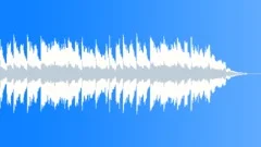 Delta Blues (Transition)Stock Music