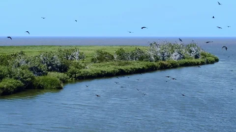 Delta of the Don, the river flows into the sea, cormorants fly over the water Stock Footage 121894141
