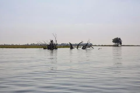 Delta Okavango Stock Photos