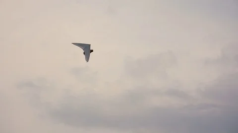 Delta plane with motor flying - ELS Video stock 80590694