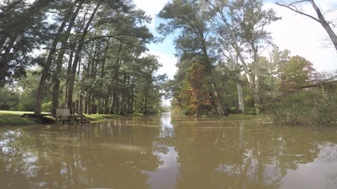 Delta River Stock Footage 96006724