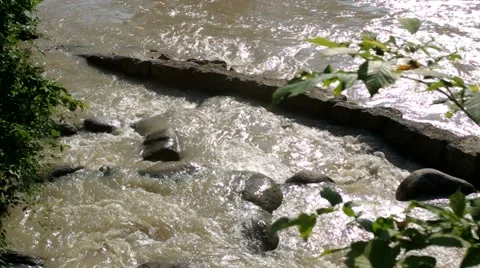 The delta of a small creek 스톡 동영상 40699377