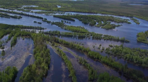The delta of the taiga river. View from above Stock Footage 54898292