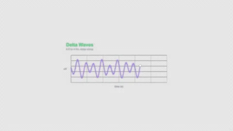 Delta Waves EEG Brain Wave Animation Labeled Video Overlay Alpha 4K Stockbeeldmateriaal 339304028