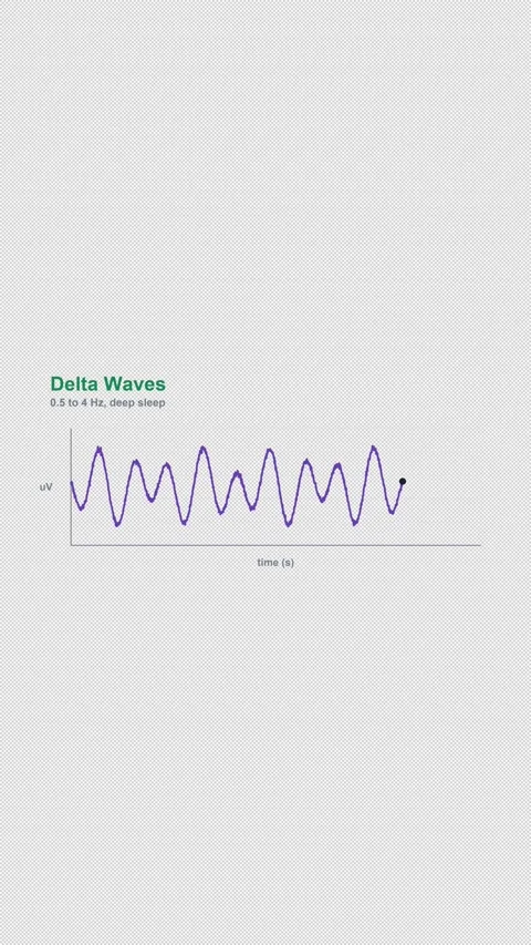 Delta Waves Labeled EEG Brain Wave Alpha 4K Vertical 9x16 Light Stock Footage 339494090