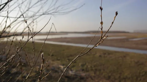 Delta_land Stock Footage 49157264