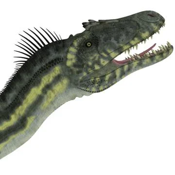 Deltadromeus Dinosaur Head Illustrazione stock