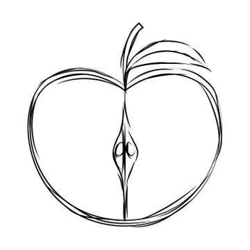 Delucious fruit drawing Stock Illustration